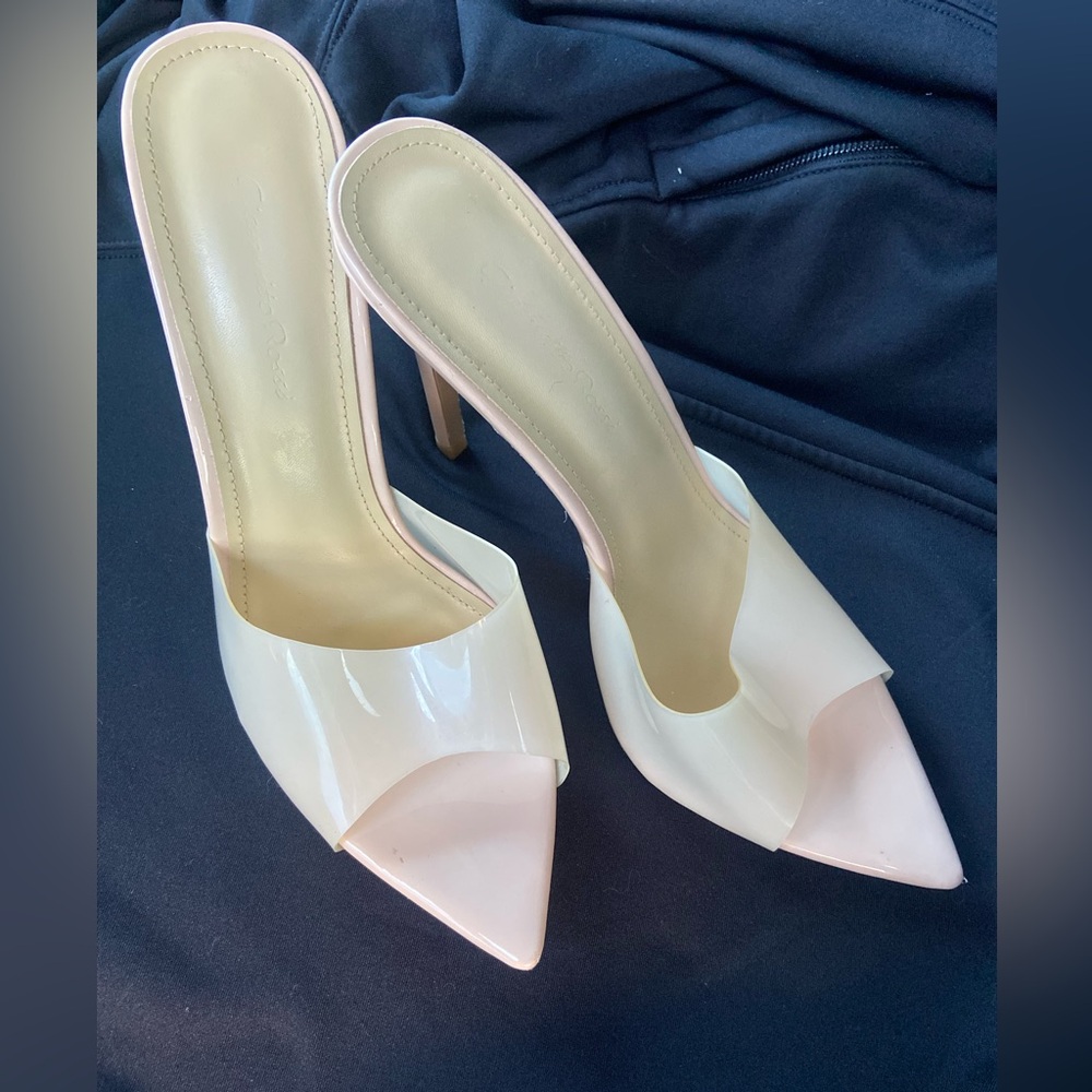 Gianvito Rossi Stilleto Heel Elle Plexi Mules.